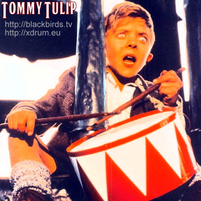 Tommy.Tulip_Profilbild_Oskar.Matzerath